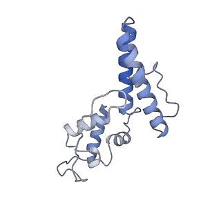 28634_8evr_BN_v1-0
Hypopseudouridylated yeast 80S bound with Taura syndrome virus (TSV) internal ribosome entry site (IRES), eEF2, GDP, and sordarin, Structure II