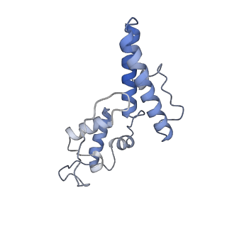 28634_8evr_BN_v2-0
Hypopseudouridylated yeast 80S bound with Taura syndrome virus (TSV) internal ribosome entry site (IRES), eEF2, GDP, and sordarin, Structure II