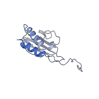 28634_8evr_BO_v1-0
Hypopseudouridylated yeast 80S bound with Taura syndrome virus (TSV) internal ribosome entry site (IRES), eEF2, GDP, and sordarin, Structure II