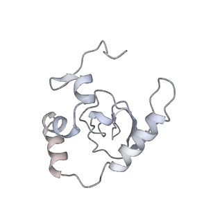 28634_8evr_BP_v1-0
Hypopseudouridylated yeast 80S bound with Taura syndrome virus (TSV) internal ribosome entry site (IRES), eEF2, GDP, and sordarin, Structure II