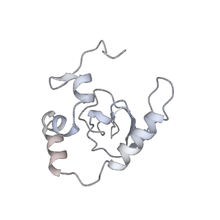28634_8evr_BP_v2-0
Hypopseudouridylated yeast 80S bound with Taura syndrome virus (TSV) internal ribosome entry site (IRES), eEF2, GDP, and sordarin, Structure II