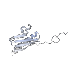 28634_8evr_BQ_v1-0
Hypopseudouridylated yeast 80S bound with Taura syndrome virus (TSV) internal ribosome entry site (IRES), eEF2, GDP, and sordarin, Structure II
