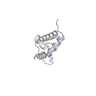 28634_8evr_BR_v1-0
Hypopseudouridylated yeast 80S bound with Taura syndrome virus (TSV) internal ribosome entry site (IRES), eEF2, GDP, and sordarin, Structure II