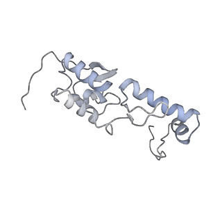 28634_8evr_BS_v1-0
Hypopseudouridylated yeast 80S bound with Taura syndrome virus (TSV) internal ribosome entry site (IRES), eEF2, GDP, and sordarin, Structure II