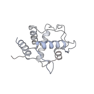 28634_8evr_BT_v1-0
Hypopseudouridylated yeast 80S bound with Taura syndrome virus (TSV) internal ribosome entry site (IRES), eEF2, GDP, and sordarin, Structure II
