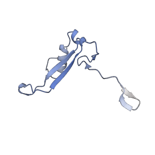 28634_8evr_BV_v1-0
Hypopseudouridylated yeast 80S bound with Taura syndrome virus (TSV) internal ribosome entry site (IRES), eEF2, GDP, and sordarin, Structure II