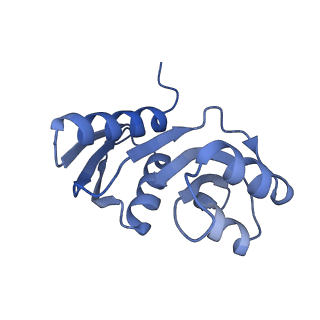 28634_8evr_BW_v1-0
Hypopseudouridylated yeast 80S bound with Taura syndrome virus (TSV) internal ribosome entry site (IRES), eEF2, GDP, and sordarin, Structure II