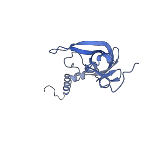 28634_8evr_BX_v1-0
Hypopseudouridylated yeast 80S bound with Taura syndrome virus (TSV) internal ribosome entry site (IRES), eEF2, GDP, and sordarin, Structure II