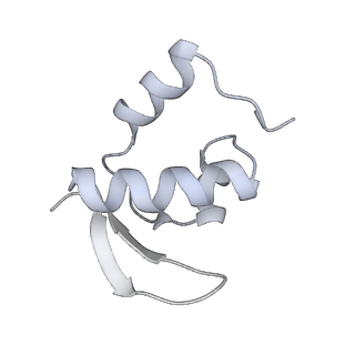 28634_8evr_BZ_v1-0
Hypopseudouridylated yeast 80S bound with Taura syndrome virus (TSV) internal ribosome entry site (IRES), eEF2, GDP, and sordarin, Structure II