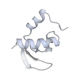 28634_8evr_BZ_v2-0
Hypopseudouridylated yeast 80S bound with Taura syndrome virus (TSV) internal ribosome entry site (IRES), eEF2, GDP, and sordarin, Structure II