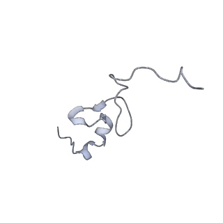 28634_8evr_Bd_v1-0
Hypopseudouridylated yeast 80S bound with Taura syndrome virus (TSV) internal ribosome entry site (IRES), eEF2, GDP, and sordarin, Structure II