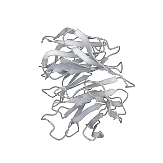 28634_8evr_Bg_v1-0
Hypopseudouridylated yeast 80S bound with Taura syndrome virus (TSV) internal ribosome entry site (IRES), eEF2, GDP, and sordarin, Structure II