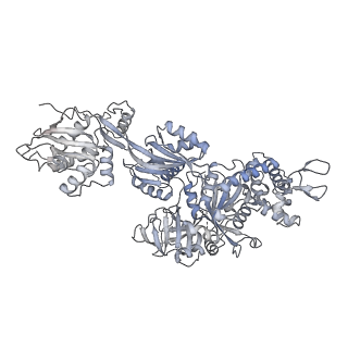 28634_8evr_DC_v1-0
Hypopseudouridylated yeast 80S bound with Taura syndrome virus (TSV) internal ribosome entry site (IRES), eEF2, GDP, and sordarin, Structure II