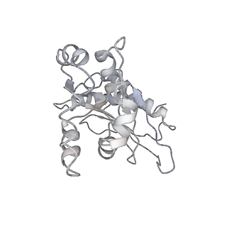 28634_8evr_E_v1-0
Hypopseudouridylated yeast 80S bound with Taura syndrome virus (TSV) internal ribosome entry site (IRES), eEF2, GDP, and sordarin, Structure II