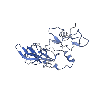 28635_8evs_AA_v1-0
Hypopseudouridylated yeast 80S bound with Taura syndrome virus (TSV) internal ribosome entry site (IRES), eEF2 and GDP, Structure II