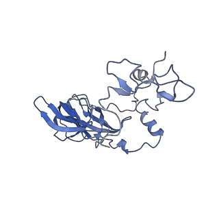 28635_8evs_AA_v2-0
Hypopseudouridylated yeast 80S bound with Taura syndrome virus (TSV) internal ribosome entry site (IRES), eEF2 and GDP, Structure II
