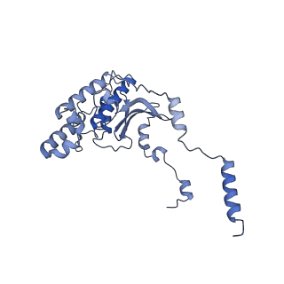 28635_8evs_AD_v1-0
Hypopseudouridylated yeast 80S bound with Taura syndrome virus (TSV) internal ribosome entry site (IRES), eEF2 and GDP, Structure II