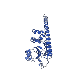 28635_8evs_AF_v1-0
Hypopseudouridylated yeast 80S bound with Taura syndrome virus (TSV) internal ribosome entry site (IRES), eEF2 and GDP, Structure II