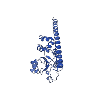 28635_8evs_AF_v2-0
Hypopseudouridylated yeast 80S bound with Taura syndrome virus (TSV) internal ribosome entry site (IRES), eEF2 and GDP, Structure II