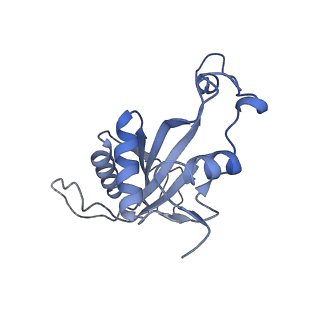 28635_8evs_AJ_v1-0
Hypopseudouridylated yeast 80S bound with Taura syndrome virus (TSV) internal ribosome entry site (IRES), eEF2 and GDP, Structure II