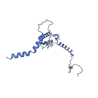 28635_8evs_AL_v1-0
Hypopseudouridylated yeast 80S bound with Taura syndrome virus (TSV) internal ribosome entry site (IRES), eEF2 and GDP, Structure II