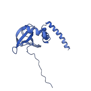 28635_8evs_AM_v1-0
Hypopseudouridylated yeast 80S bound with Taura syndrome virus (TSV) internal ribosome entry site (IRES), eEF2 and GDP, Structure II