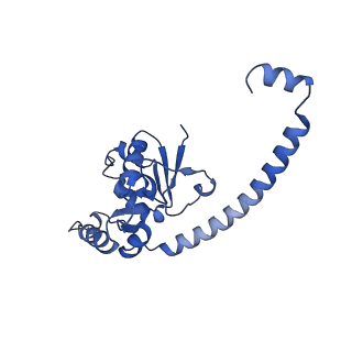 28635_8evs_AO_v1-0
Hypopseudouridylated yeast 80S bound with Taura syndrome virus (TSV) internal ribosome entry site (IRES), eEF2 and GDP, Structure II