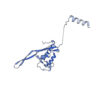 28635_8evs_AP_v1-0
Hypopseudouridylated yeast 80S bound with Taura syndrome virus (TSV) internal ribosome entry site (IRES), eEF2 and GDP, Structure II