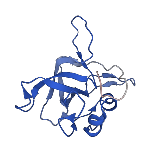 28635_8evs_AV_v1-0
Hypopseudouridylated yeast 80S bound with Taura syndrome virus (TSV) internal ribosome entry site (IRES), eEF2 and GDP, Structure II
