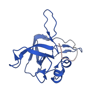 28635_8evs_AV_v2-0
Hypopseudouridylated yeast 80S bound with Taura syndrome virus (TSV) internal ribosome entry site (IRES), eEF2 and GDP, Structure II