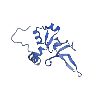 28635_8evs_AY_v1-0
Hypopseudouridylated yeast 80S bound with Taura syndrome virus (TSV) internal ribosome entry site (IRES), eEF2 and GDP, Structure II