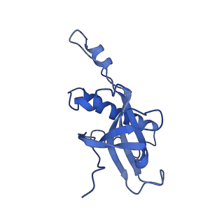 28635_8evs_AZ_v1-0
Hypopseudouridylated yeast 80S bound with Taura syndrome virus (TSV) internal ribosome entry site (IRES), eEF2 and GDP, Structure II