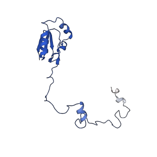 28635_8evs_Aa_v1-0
Hypopseudouridylated yeast 80S bound with Taura syndrome virus (TSV) internal ribosome entry site (IRES), eEF2 and GDP, Structure II