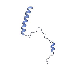 28635_8evs_Ab_v1-0
Hypopseudouridylated yeast 80S bound with Taura syndrome virus (TSV) internal ribosome entry site (IRES), eEF2 and GDP, Structure II
