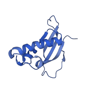 28635_8evs_Ad_v1-0
Hypopseudouridylated yeast 80S bound with Taura syndrome virus (TSV) internal ribosome entry site (IRES), eEF2 and GDP, Structure II