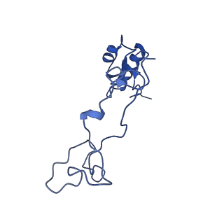28635_8evs_Ae_v1-0
Hypopseudouridylated yeast 80S bound with Taura syndrome virus (TSV) internal ribosome entry site (IRES), eEF2 and GDP, Structure II