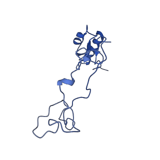 28635_8evs_Ae_v2-0
Hypopseudouridylated yeast 80S bound with Taura syndrome virus (TSV) internal ribosome entry site (IRES), eEF2 and GDP, Structure II