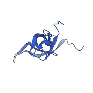 28635_8evs_Af_v1-0
Hypopseudouridylated yeast 80S bound with Taura syndrome virus (TSV) internal ribosome entry site (IRES), eEF2 and GDP, Structure II