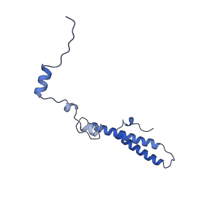 28635_8evs_Ah_v1-0
Hypopseudouridylated yeast 80S bound with Taura syndrome virus (TSV) internal ribosome entry site (IRES), eEF2 and GDP, Structure II