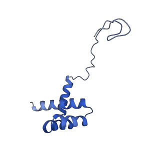 28635_8evs_Ai_v1-0
Hypopseudouridylated yeast 80S bound with Taura syndrome virus (TSV) internal ribosome entry site (IRES), eEF2 and GDP, Structure II