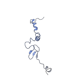 28635_8evs_Aj_v1-0
Hypopseudouridylated yeast 80S bound with Taura syndrome virus (TSV) internal ribosome entry site (IRES), eEF2 and GDP, Structure II