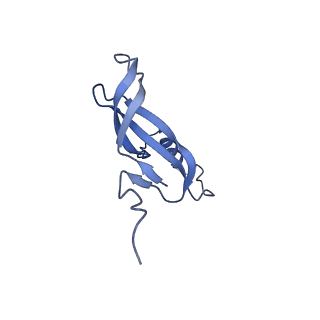 28635_8evs_Ao_v1-0
Hypopseudouridylated yeast 80S bound with Taura syndrome virus (TSV) internal ribosome entry site (IRES), eEF2 and GDP, Structure II