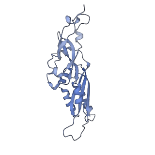 28635_8evs_BB_v1-0
Hypopseudouridylated yeast 80S bound with Taura syndrome virus (TSV) internal ribosome entry site (IRES), eEF2 and GDP, Structure II