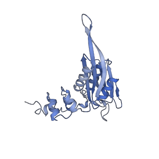 28635_8evs_BC_v1-0
Hypopseudouridylated yeast 80S bound with Taura syndrome virus (TSV) internal ribosome entry site (IRES), eEF2 and GDP, Structure II