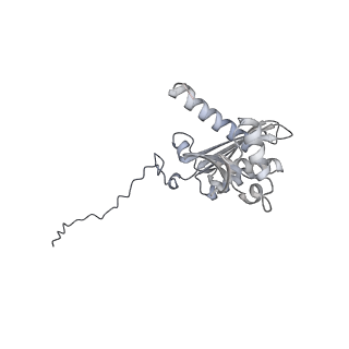 28635_8evs_BD_v1-0
Hypopseudouridylated yeast 80S bound with Taura syndrome virus (TSV) internal ribosome entry site (IRES), eEF2 and GDP, Structure II