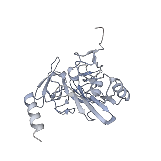 28635_8evs_BE_v1-0
Hypopseudouridylated yeast 80S bound with Taura syndrome virus (TSV) internal ribosome entry site (IRES), eEF2 and GDP, Structure II