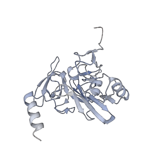 28635_8evs_BE_v2-0
Hypopseudouridylated yeast 80S bound with Taura syndrome virus (TSV) internal ribosome entry site (IRES), eEF2 and GDP, Structure II