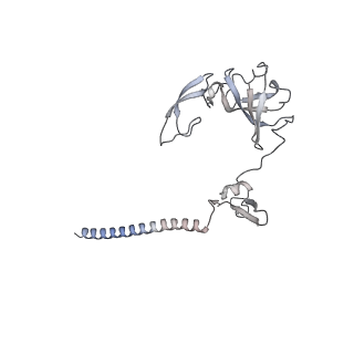 28635_8evs_BG_v1-0
Hypopseudouridylated yeast 80S bound with Taura syndrome virus (TSV) internal ribosome entry site (IRES), eEF2 and GDP, Structure II