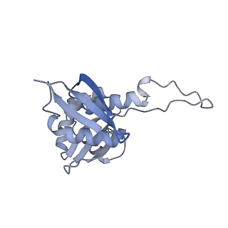 28635_8evs_BH_v1-0
Hypopseudouridylated yeast 80S bound with Taura syndrome virus (TSV) internal ribosome entry site (IRES), eEF2 and GDP, Structure II