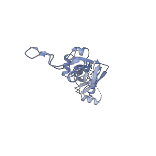 28635_8evs_BI_v1-0
Hypopseudouridylated yeast 80S bound with Taura syndrome virus (TSV) internal ribosome entry site (IRES), eEF2 and GDP, Structure II